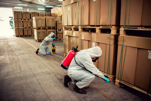Best Pest Inspection Near Me  in Duchesne, UT