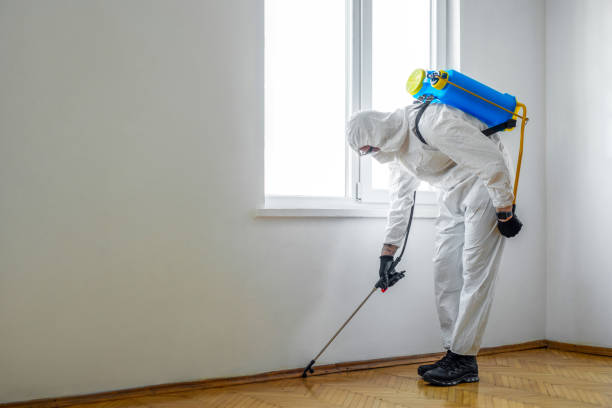Best Emergency Pest Control  in Duchesne, UT