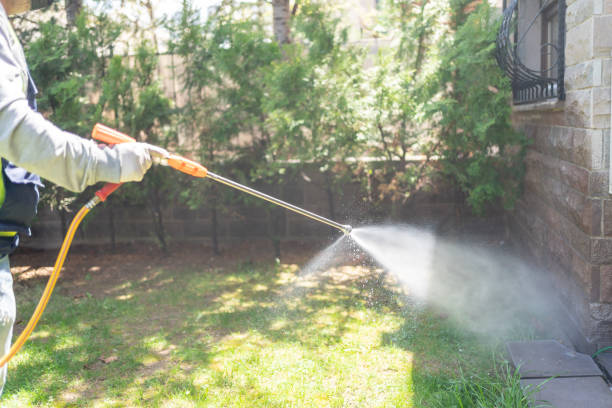 Best Mosquito Control Services  in Duchesne, UT