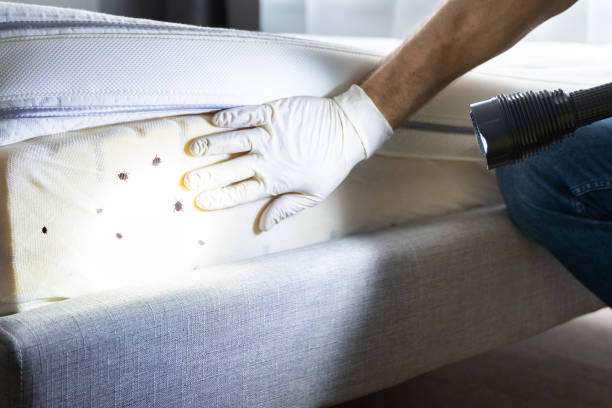 Best Commercial Pest Control Services  in Duchesne, UT